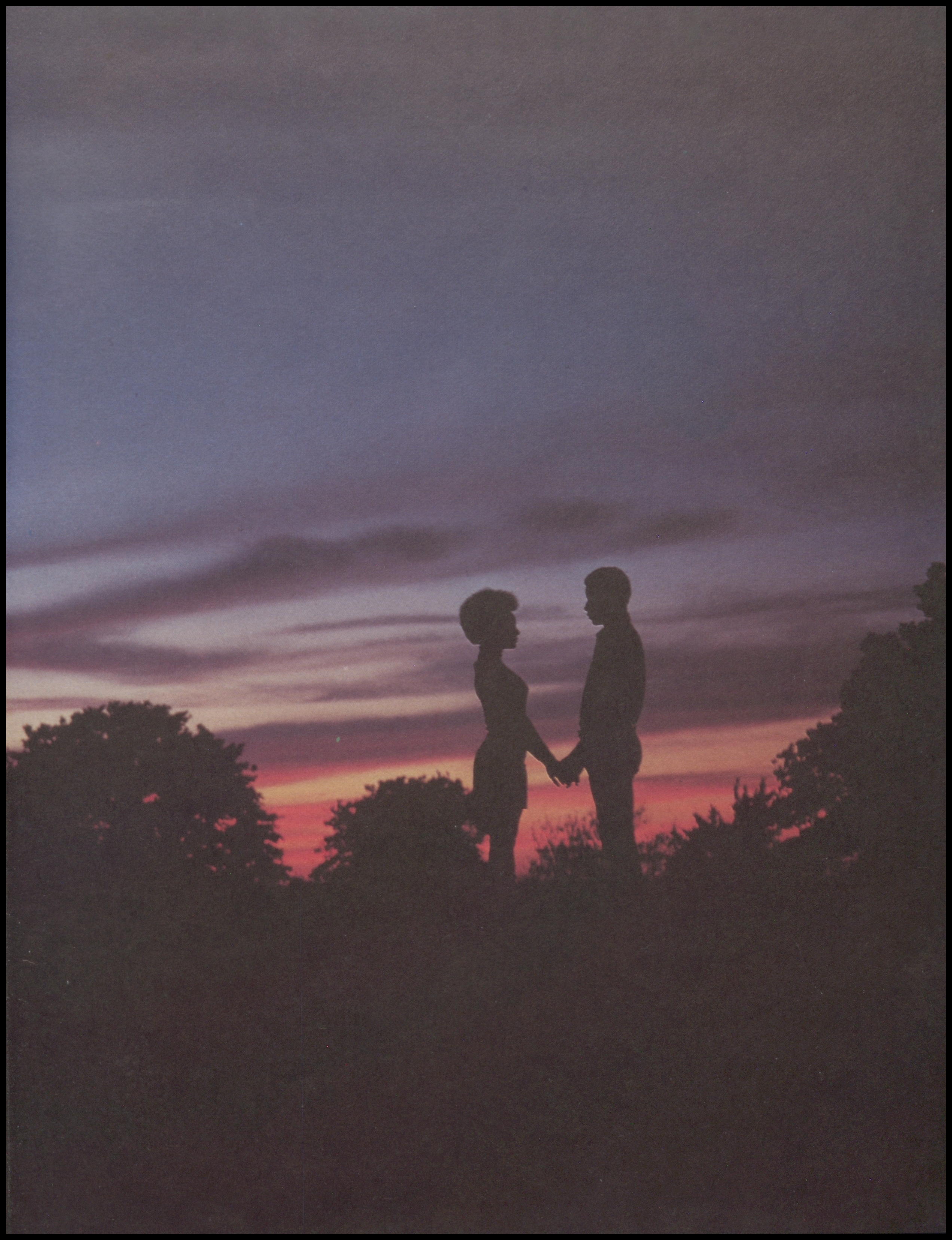 Rear view of young couple admiring the view while sitting on the mountain  top photo – Forest Image on Unsplash, image size:2544x3312