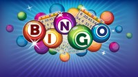 Bingo for Adults